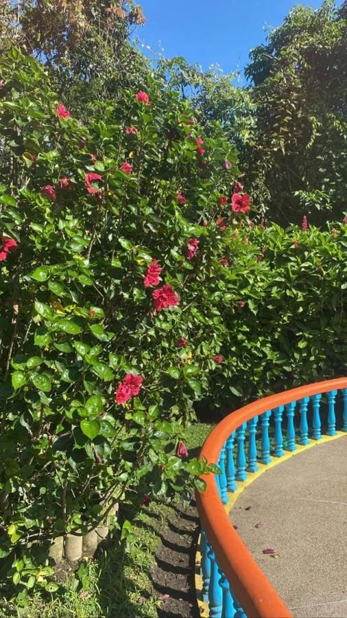 Hotel Cafetero Valparaíso