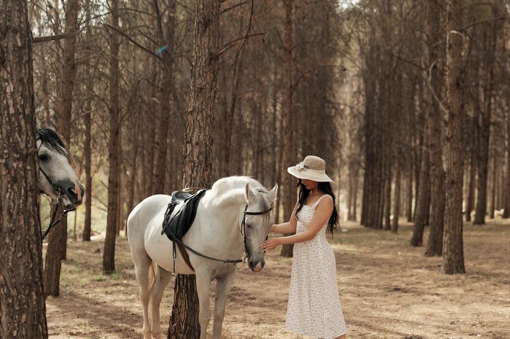 Olinto, Atlas Mountain Retreat - adults only