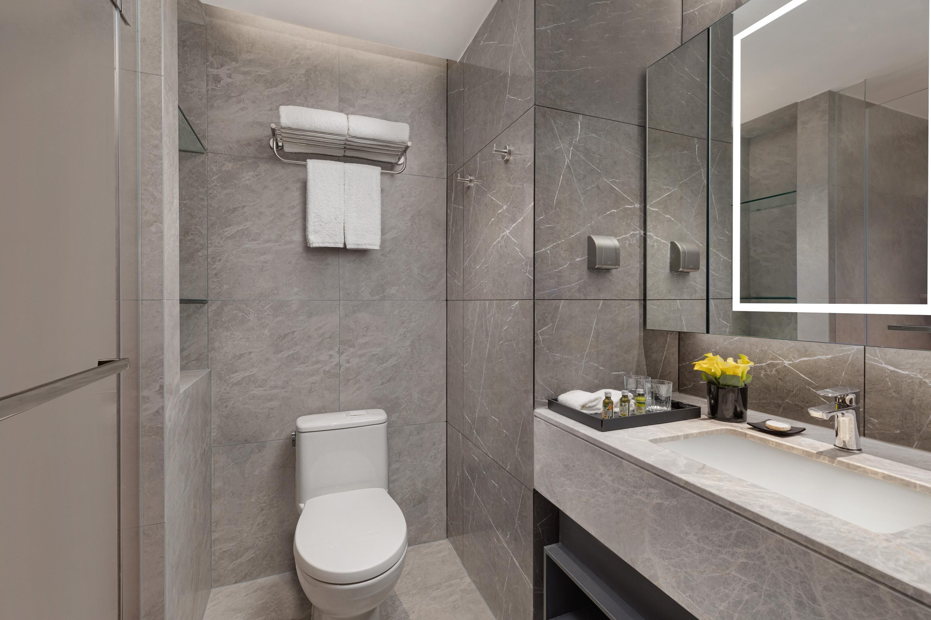 Somerset Future Center Wuhan