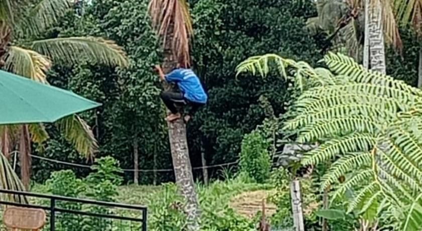 Sekumpul Bali Hidden Space