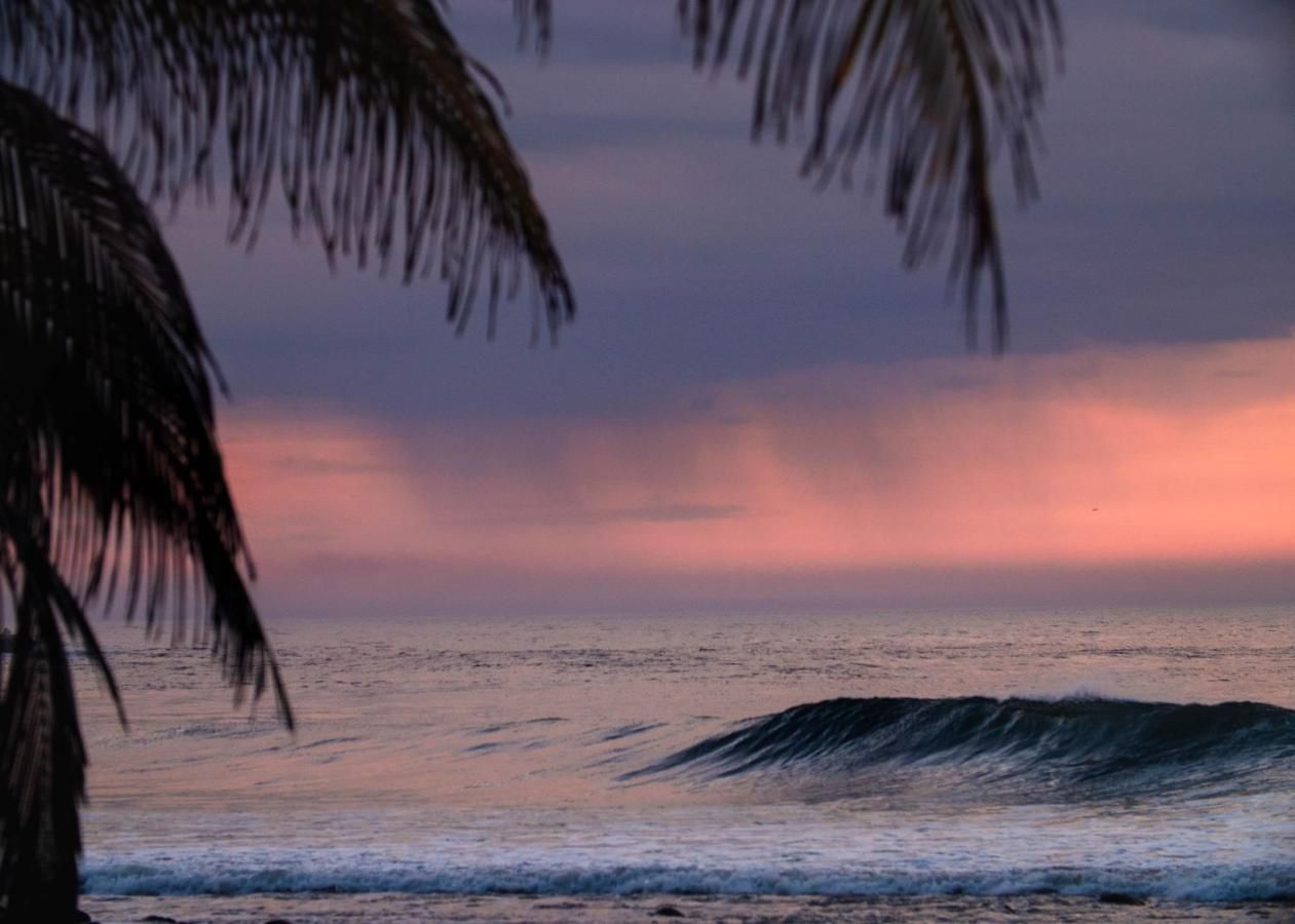 Almare Zonte - Beachfront Glamping Hotel