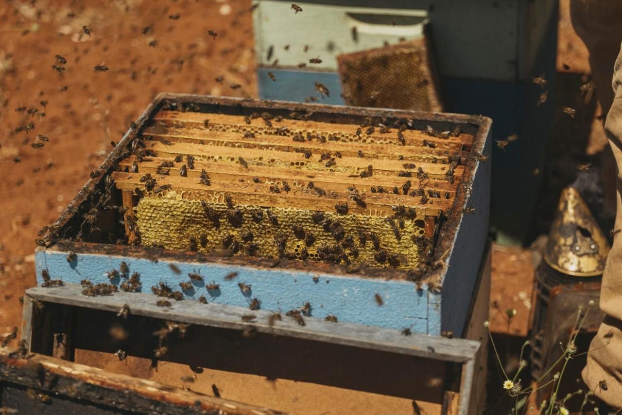 Viceroy Residences at Ombria Algarve