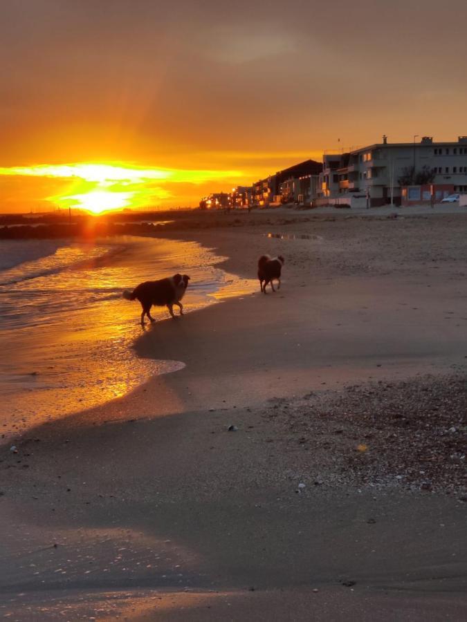 Villa arborée avec grande piscine Languedoc-Roussillon - Campagnan visuel 4/5 Villa arborée avec grande piscine Languedoc-Roussillon - Campagnan visuel 4/5