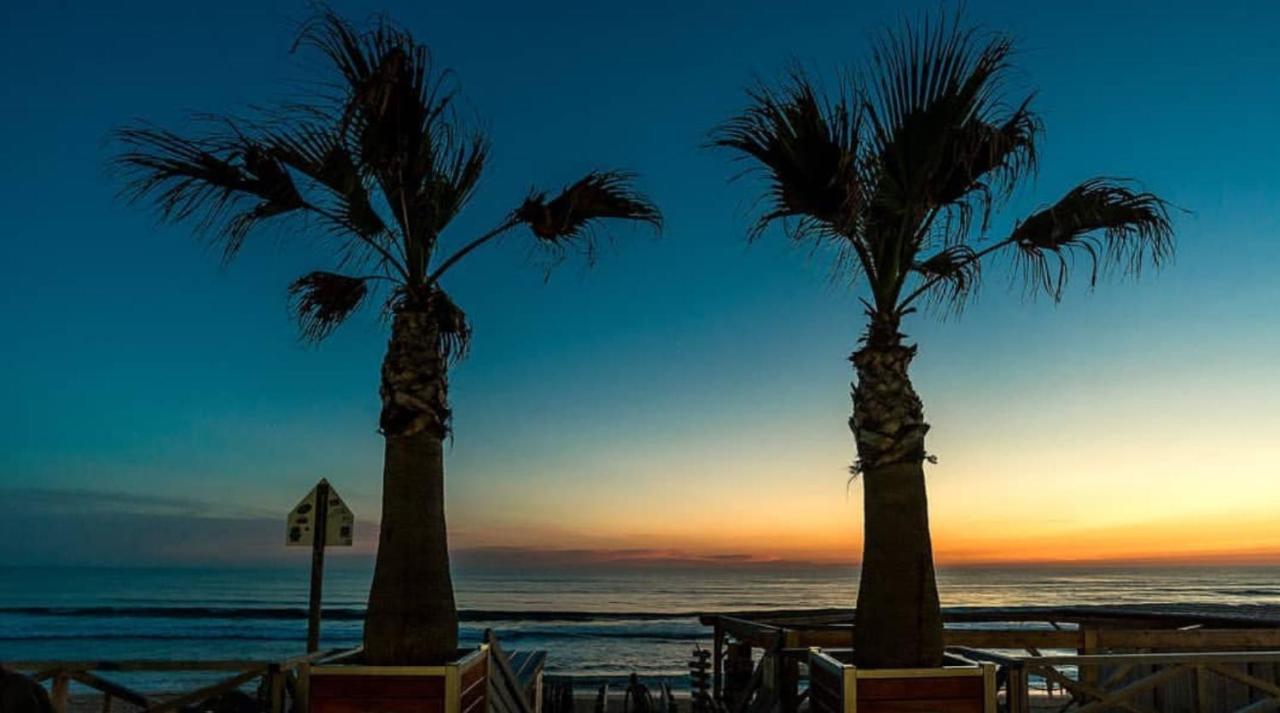 Villa Cano Beach Aquitaine - Lacanau visuel 3/5