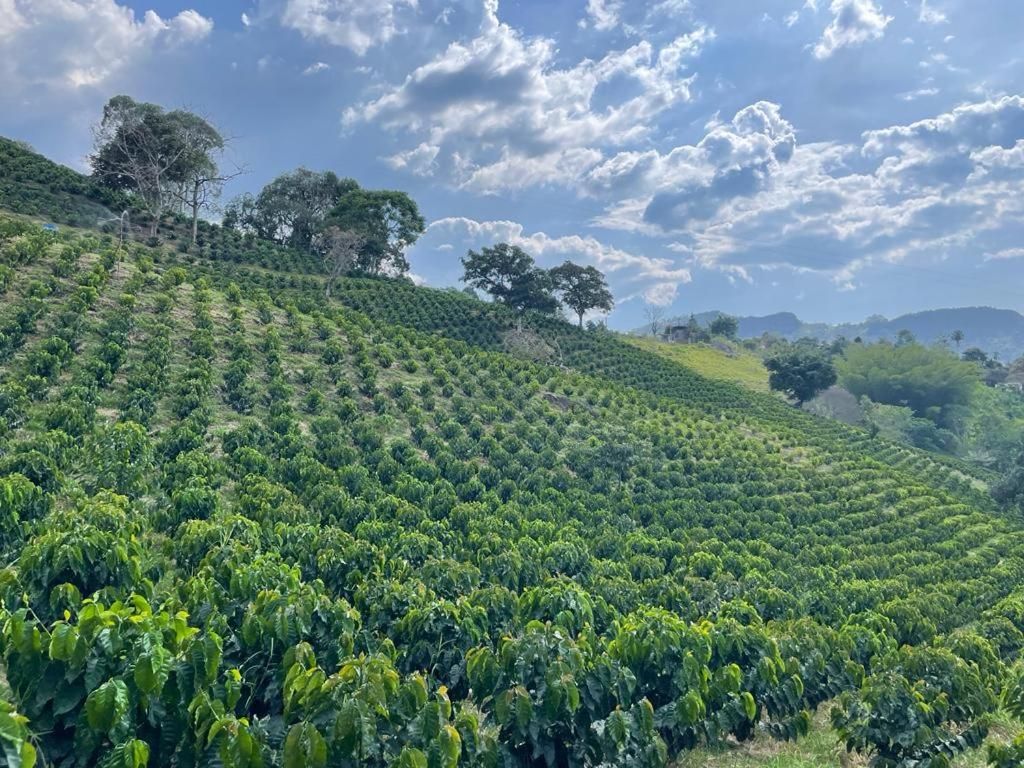 Hotel Cafetero Valparaíso