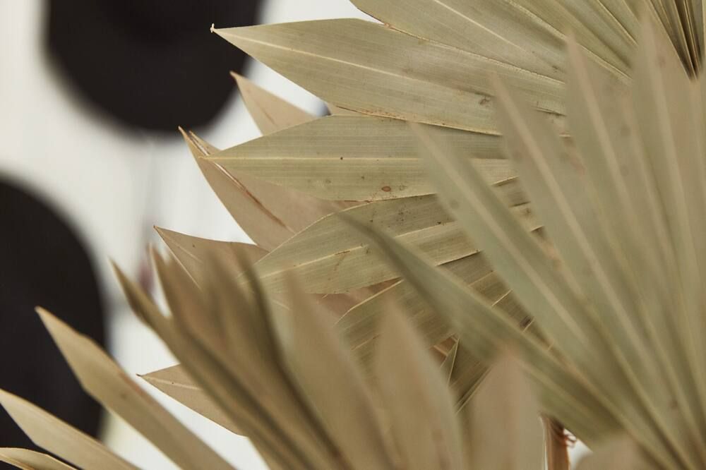 San Luis Creek Lodge