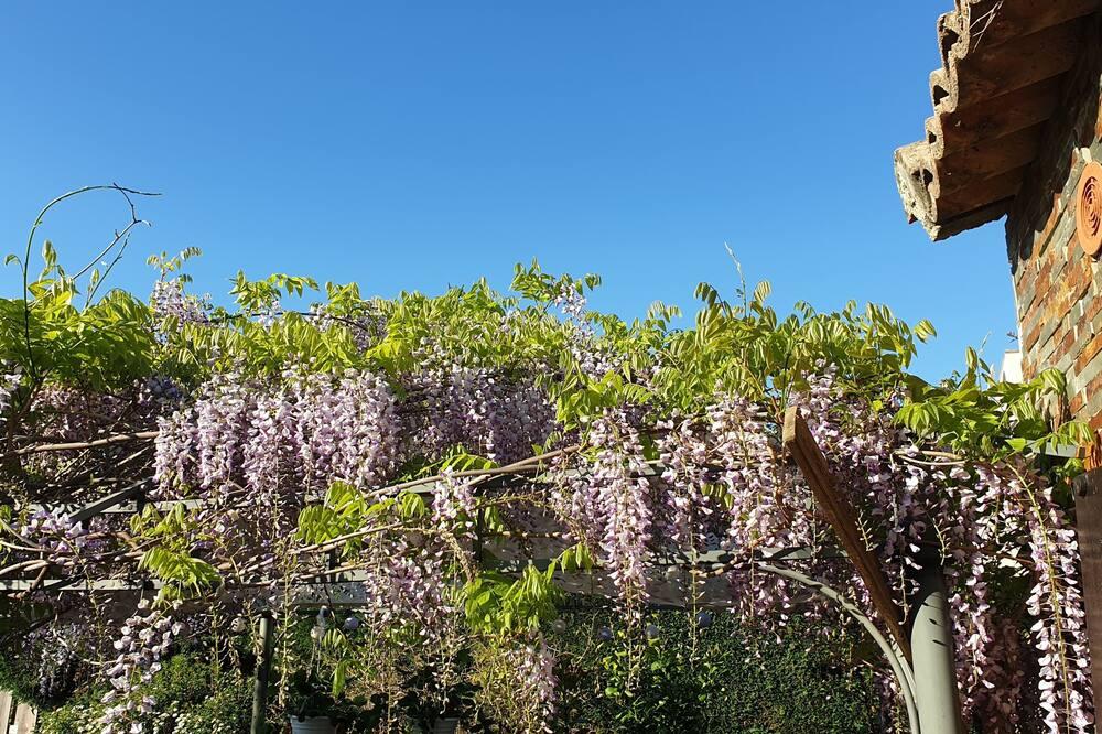 Villa for 5 people with private garden, pool and parking Provence-Alpes-Côte d'Azur - Villeneuve-Loubet visuel 3/5