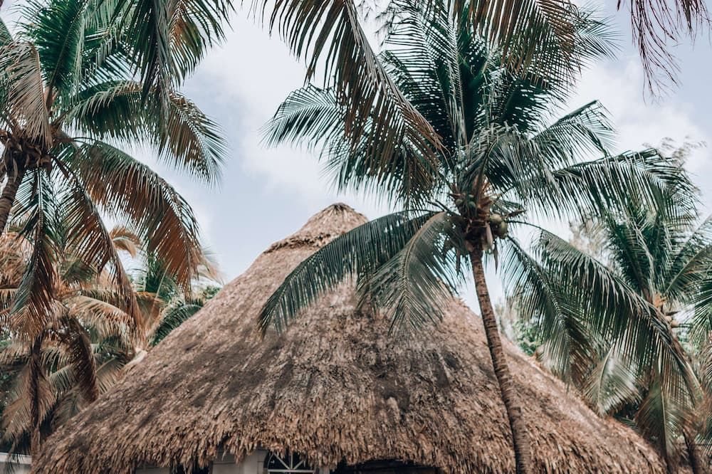 Thatch Caye Resort a Muy'Ono Resort