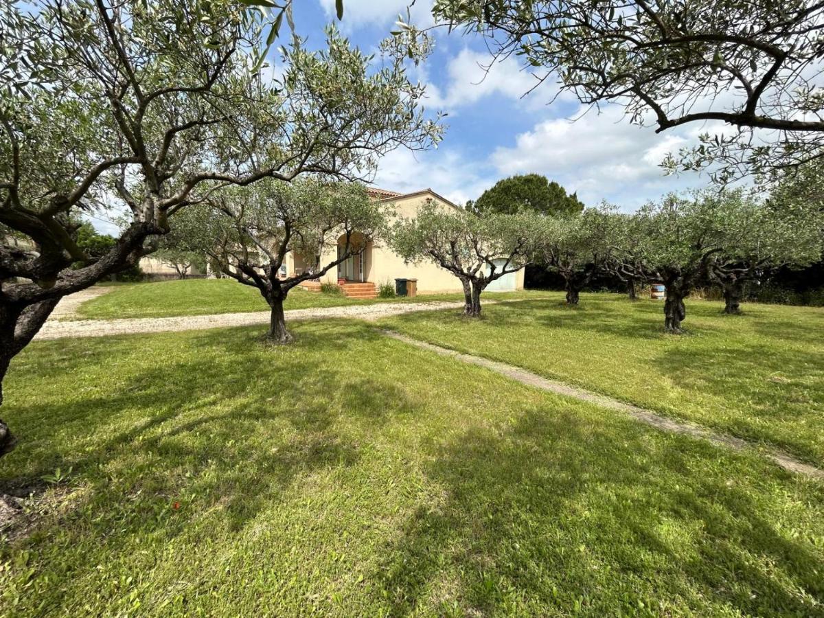 Villa Les Oliviers Provence-Alpes-Côte d'Azur - Oranje visuel 4/5 Villa Les Oliviers Provence-Alpes-Côte d'Azur - Oranje visuel 4/5