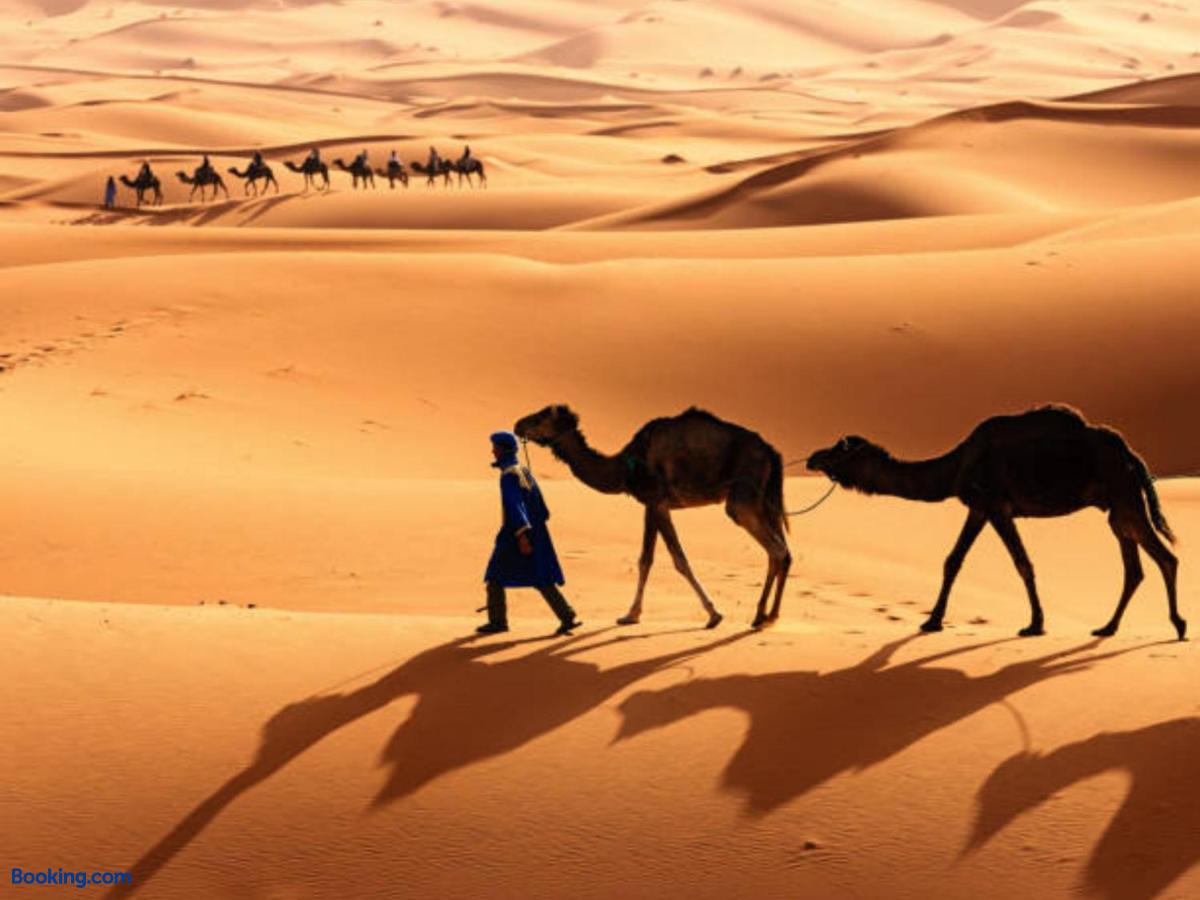 booking-1072059223-464303263-917429 Desert Paradise Luxury Camp