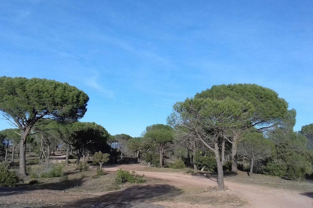 Villa with pool and extra-large terrace, in the silence of nature reserve Provence-Alpes-Côte d'Azur - Vidauban visuel 2/5 Villa with pool and extra-large terrace, in the silence of nature reserve Provence-Alpes-Côte d'Azur - Vidauban visuel 2/5