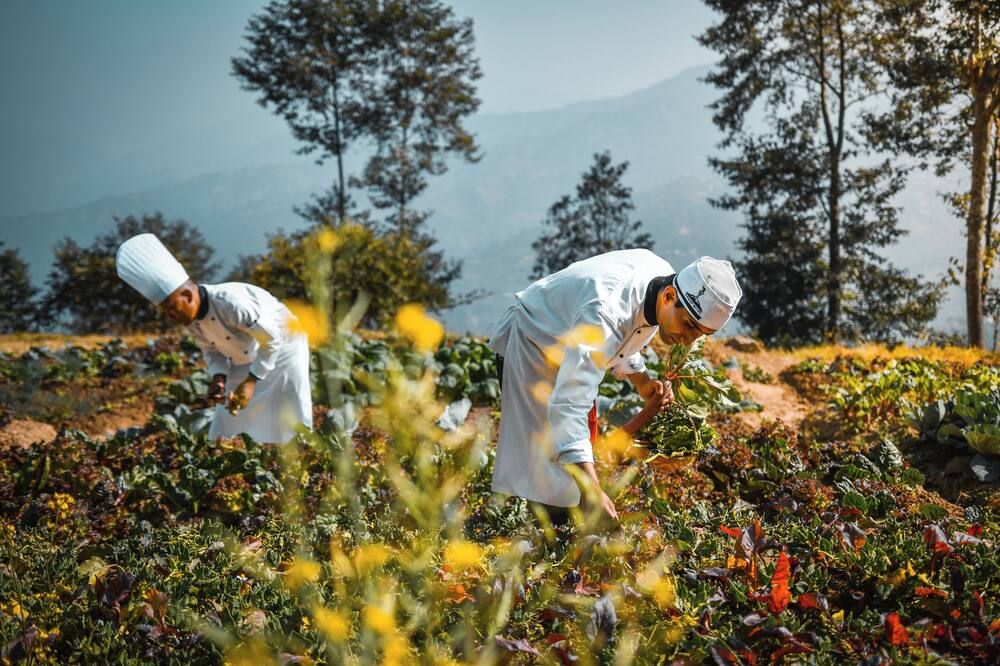 Dwarika's Resort - Dhulikhel Wellbeing Escape in the Himalayas