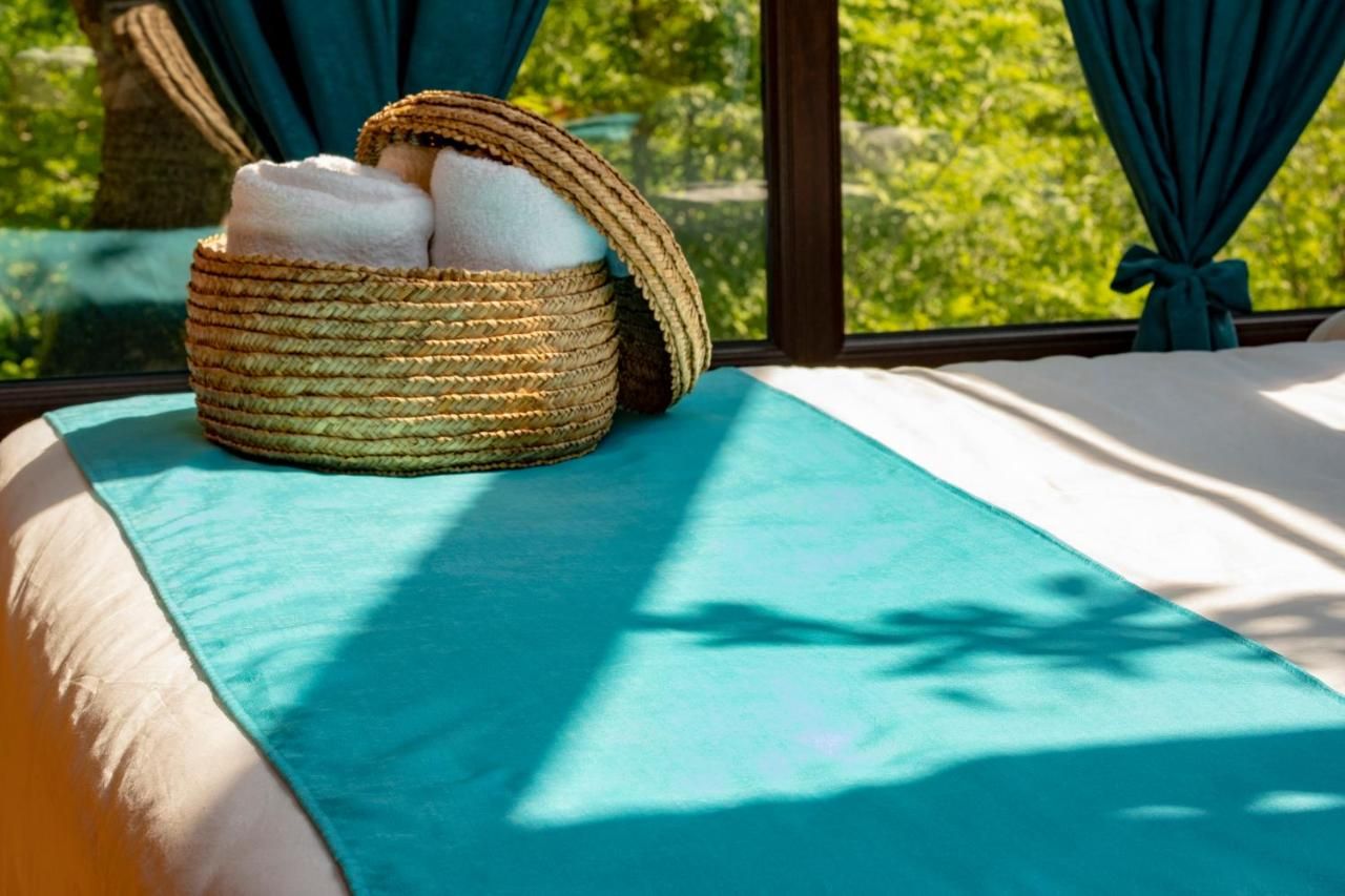 Skydoorცისკარი