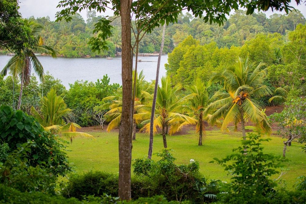 The River House