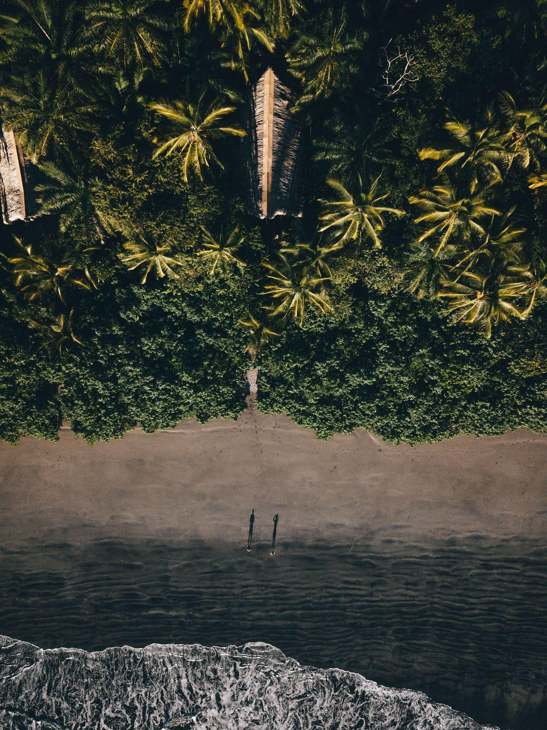 ice-2051244-f58316-780033 Isla Palenque