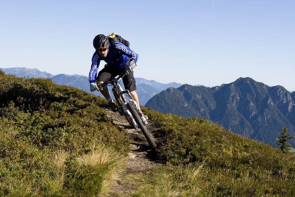 Alpbach Lodge Chalet Superior