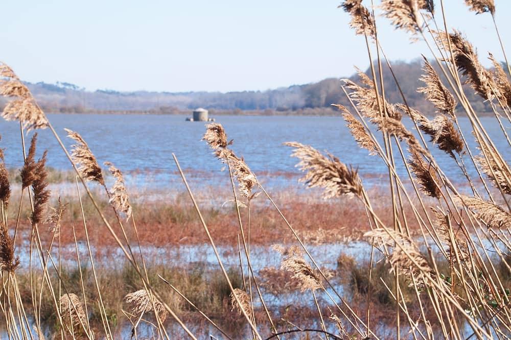 Comfort hazelnut F (sleeps 4) Aquitaine - Vieux-Boucau-les-Bains visuel 4/5