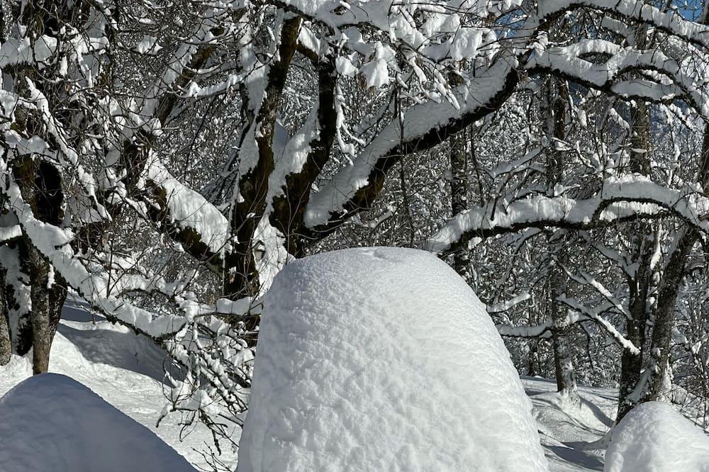 Alpine chalet in the heart of nature near Geneva Rhône-Alpes - Thonon-les-Bains visuel 2/5 Alpine chalet in the heart of nature near Geneva Rhône-Alpes - Thonon-les-Bains visuel 2/5