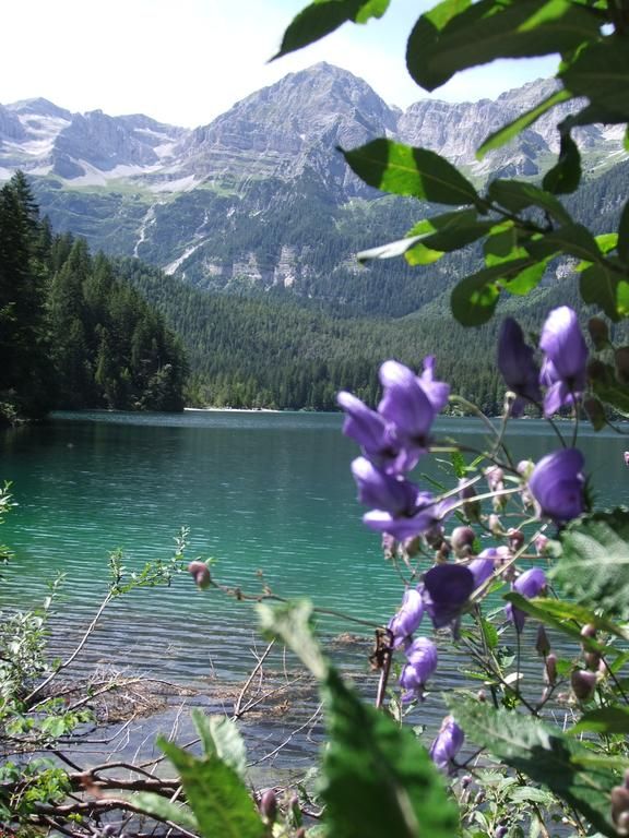 Active Hotel Monte Giner