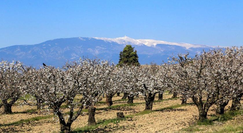 Une Sieste en Luberon Provence-Alpes-Côte d'Azur - Bonnieux visuel 4/5