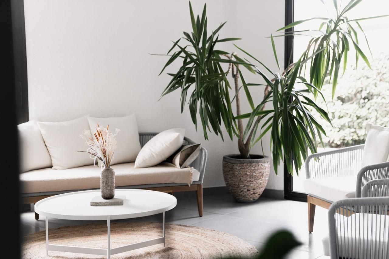 Hôtel Les Fougères Aquitaine - Hossegor visuel 5/5