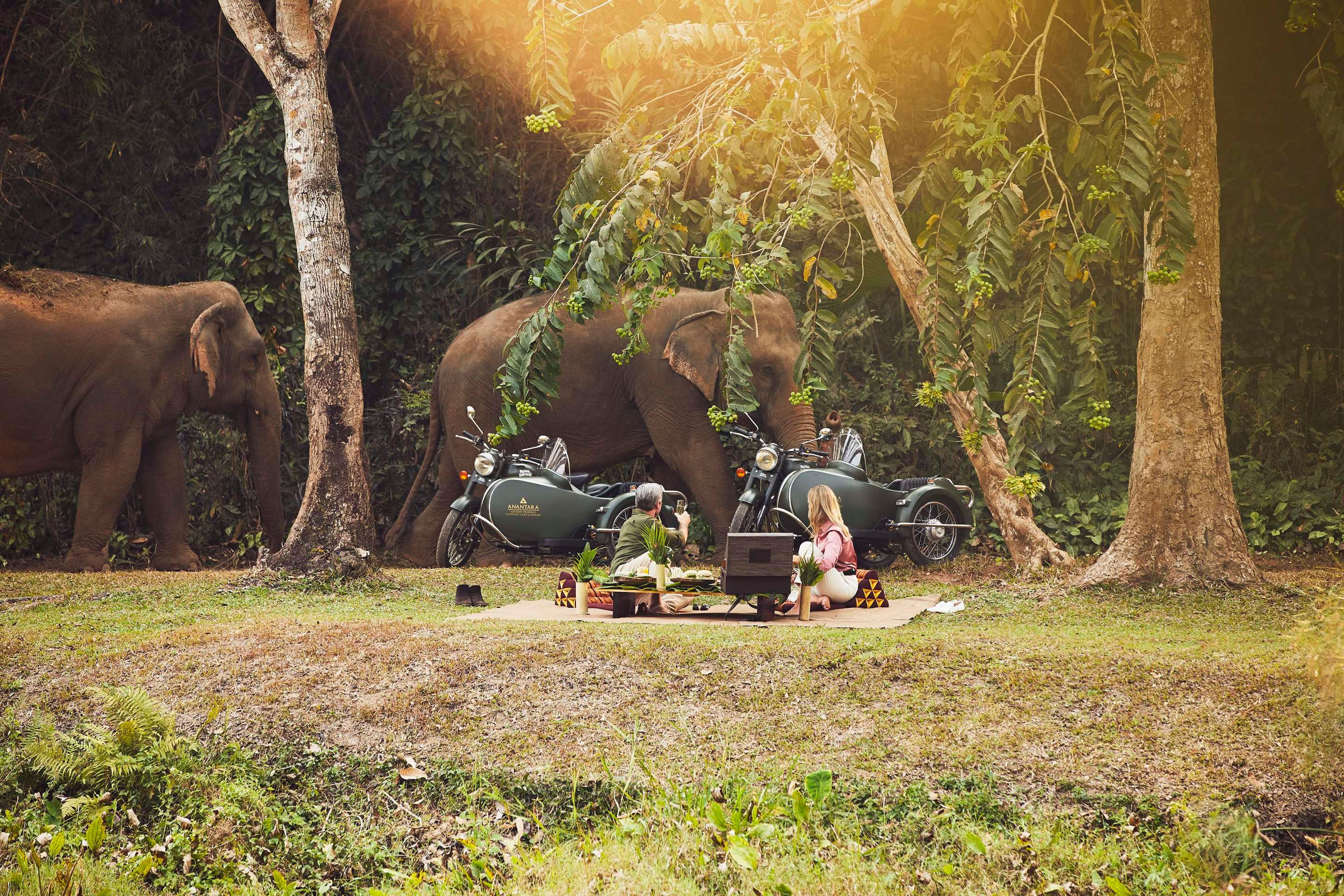 Anantara Golden Triangle Elephant Camp & Resort