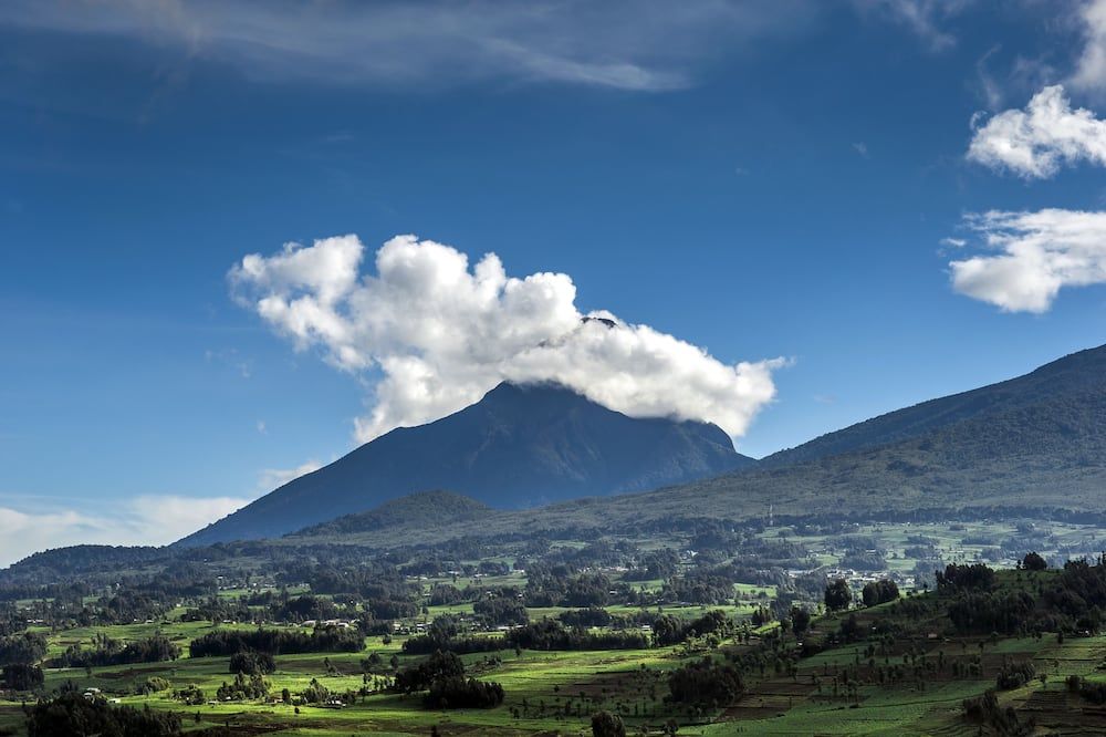 One&Only Gorilla's Nest