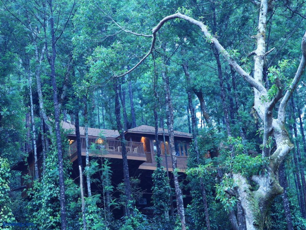booking-684151-42191254-573528 The Tamara Coorg