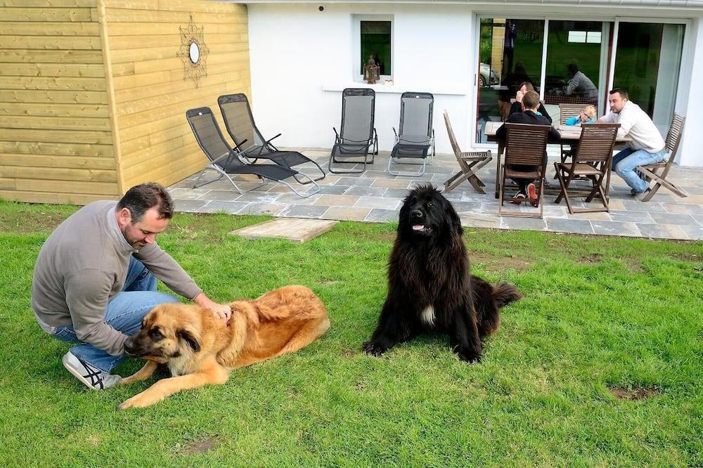 B&B cottage for 5 people Nord-Pas De Calais - Alembon visuel 3/5 B&B cottage for 5 people Nord-Pas De Calais - Alembon visuel 3/5