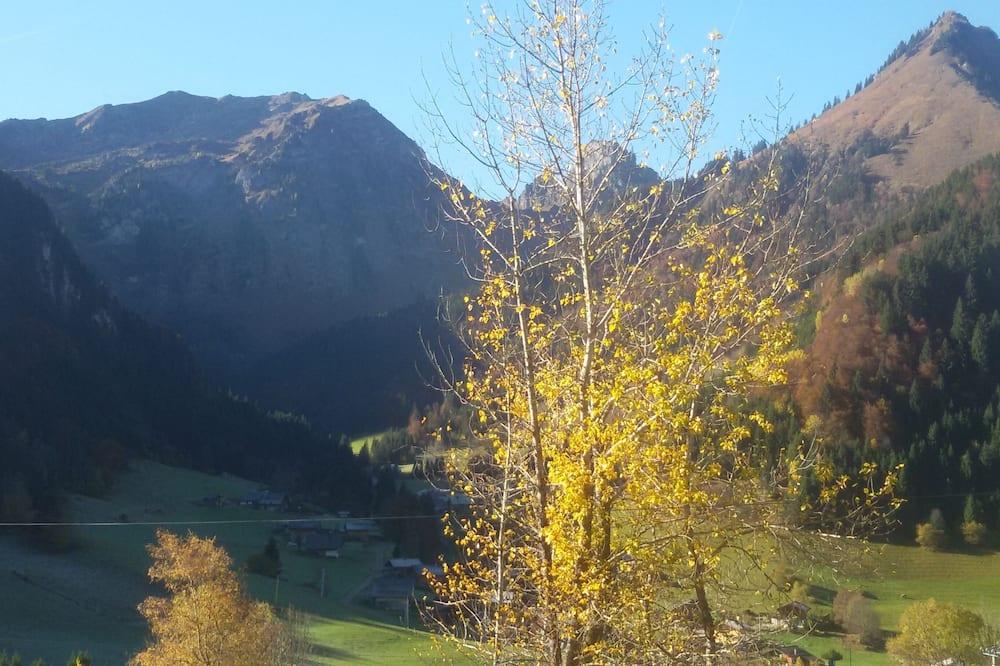 Detached, south-facing chalet close to hiking trails and lake Rhône-Alpes - Abondance visuel 1/5 Detached, south-facing chalet close to hiking trails and lake Rhône-Alpes - Abondance visuel 1/5