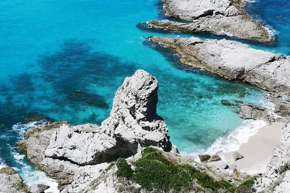 Gallo Fino Calabria - Ricadi visuel 5/5