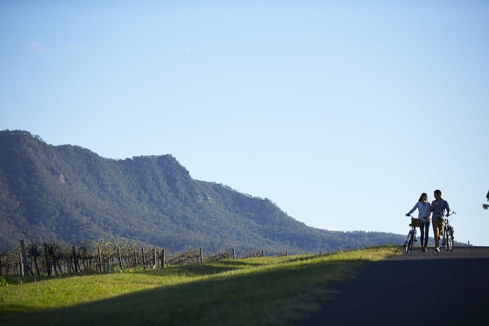 Spicers Vineyards Estate