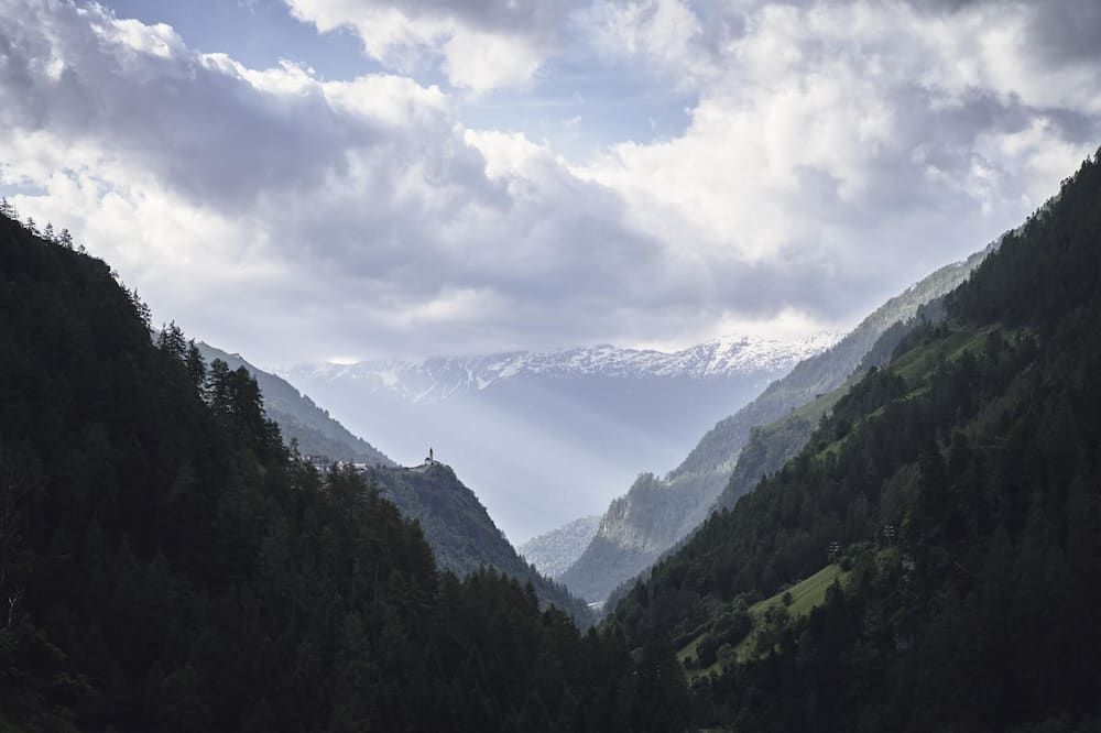 Goldene Rose Karthaus