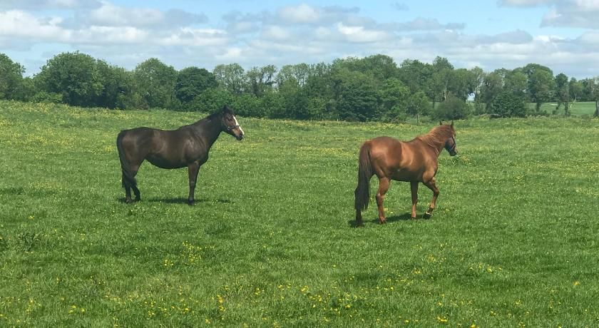 Hideaway at Foxhollow