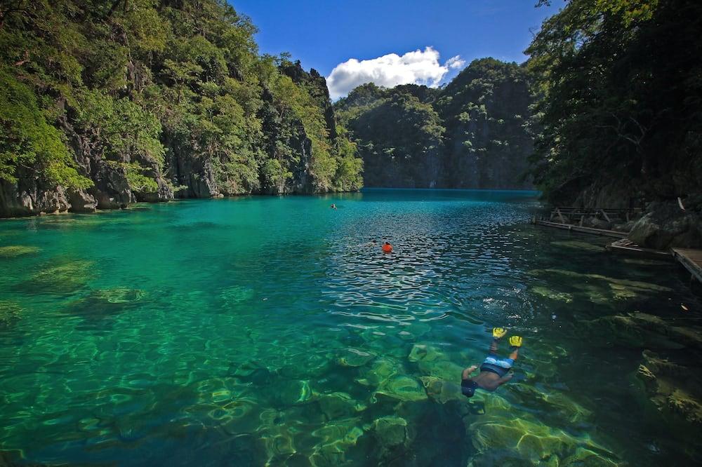 expedia_group-476158-240196347-363257 Two Seasons Coron Island Resort