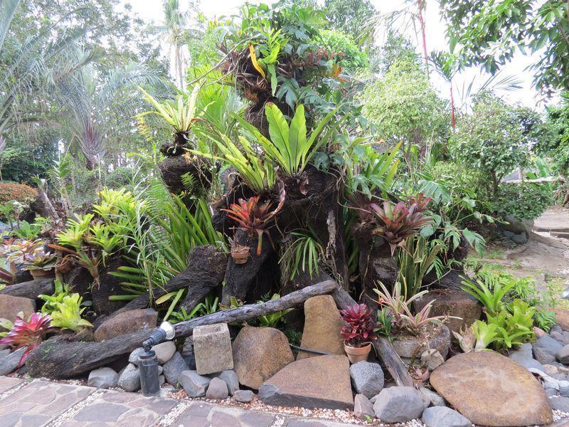 agoda-660873-25536516-890547 Cintai - Coritos Garden Hotel