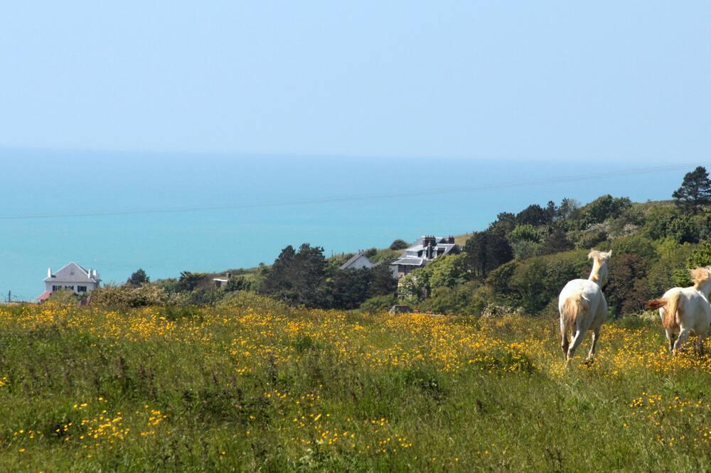 Logt 5 People Sea View. Pony And Trampoline. Located Along A Gr. Nature Hoog-Normandië - Dieppe visuel 2/5 Logt 5 People Sea View. Pony And Trampoline. Located Along A Gr. Nature Hoog-Normandië - Dieppe visuel 2/5