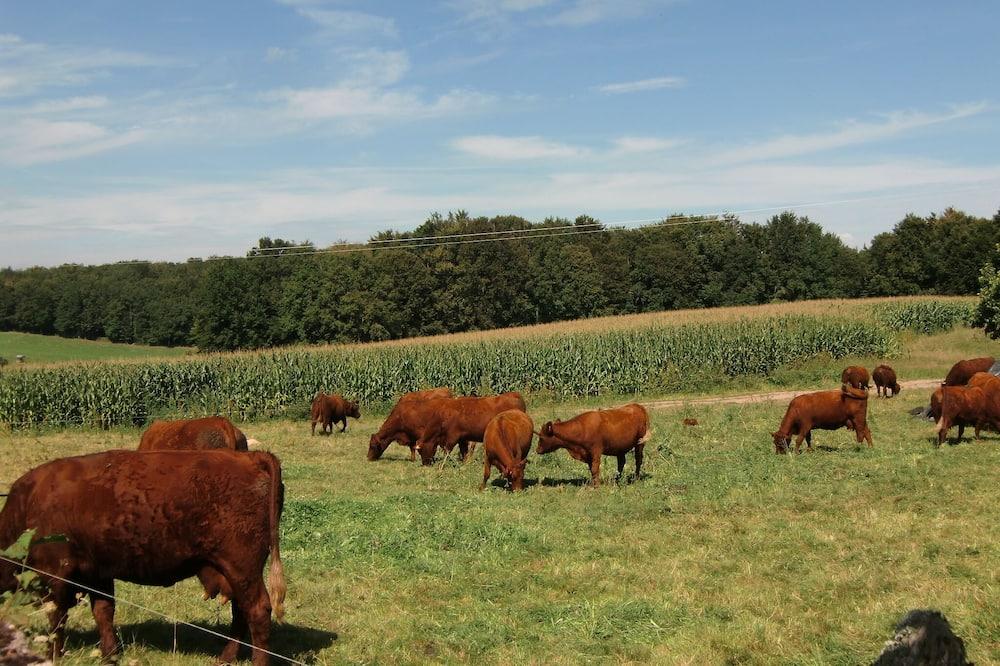 Cantal Chalet Fishing Pond - Wifi - Auvergne - Pers visuel 4/5