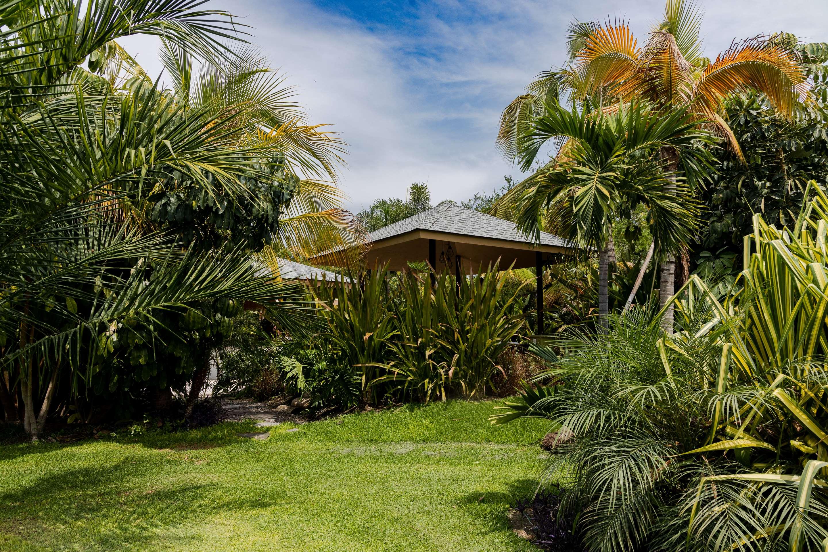 ice-2767994-824b39-150856 Soul Spring Sanctuary