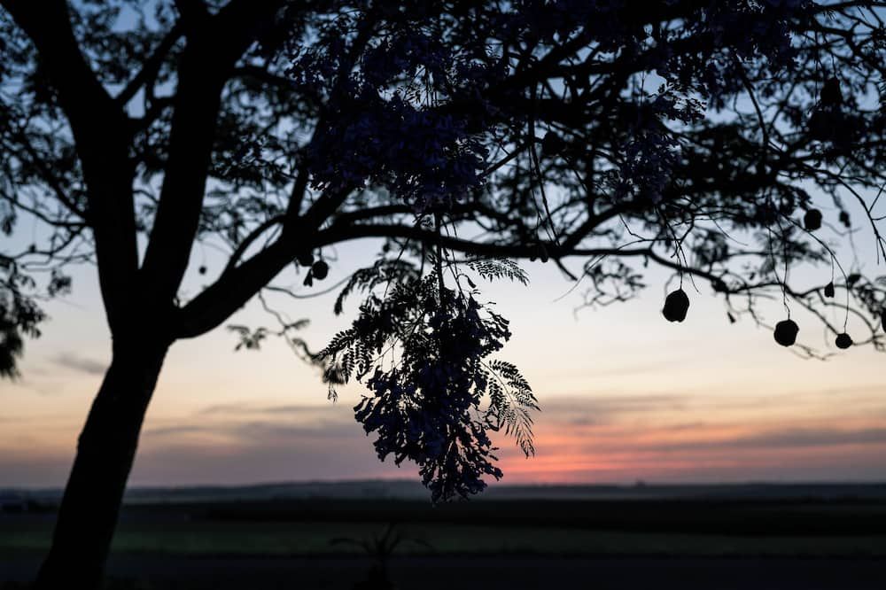 Hacienda de San Rafael