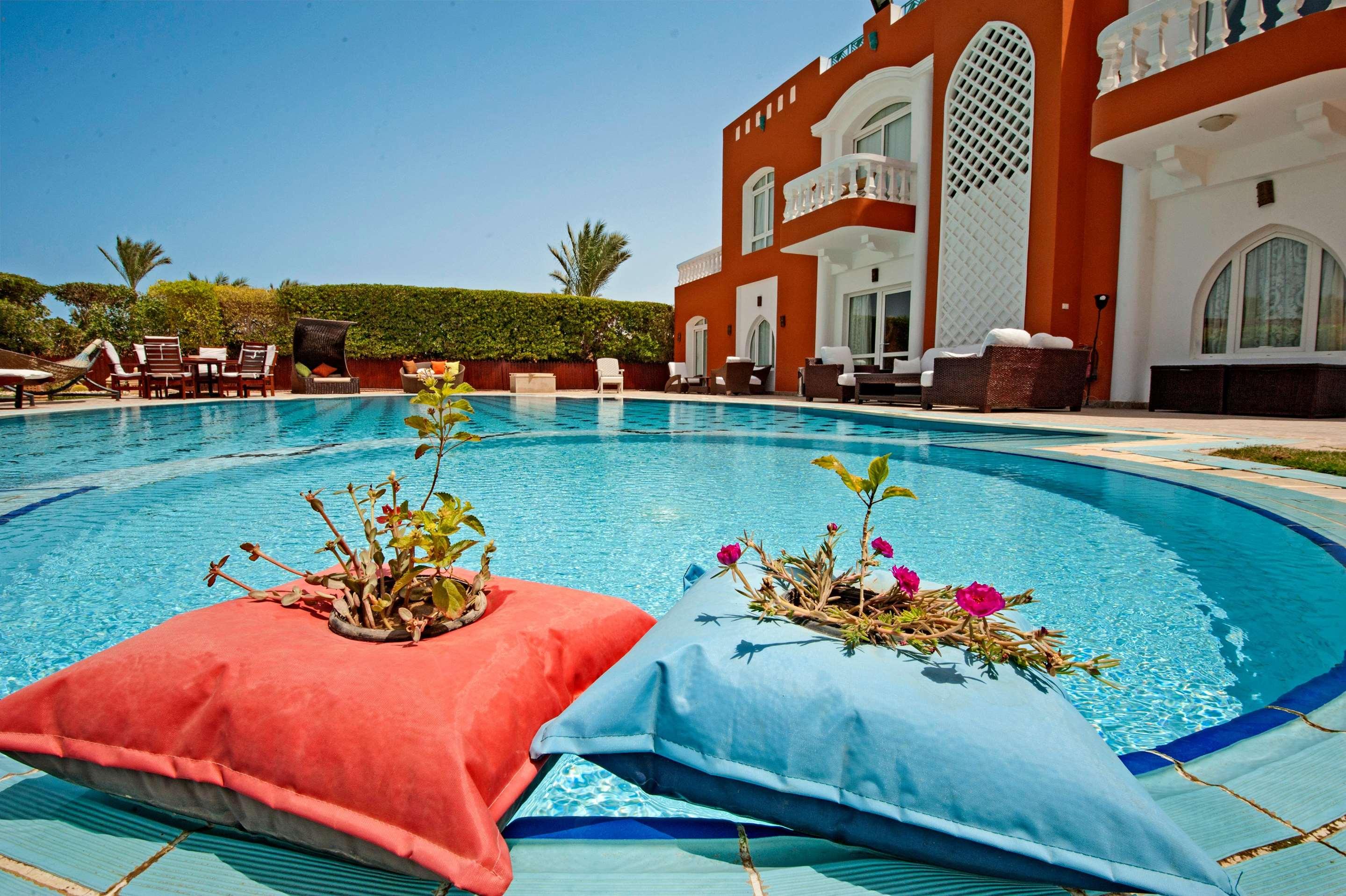 ice-132056-97033213-617077 Sunrise Garden Beach Resort