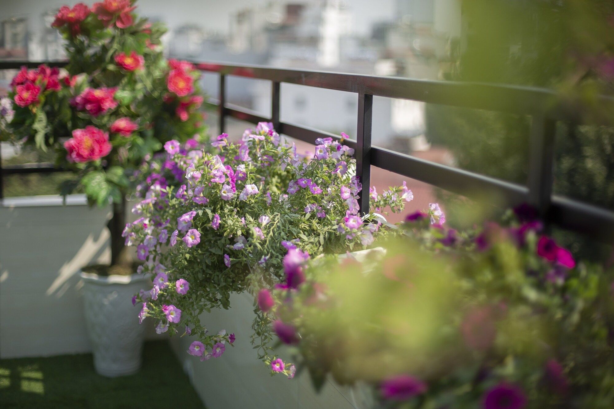 Hanoi Lotus Boutique Hotel