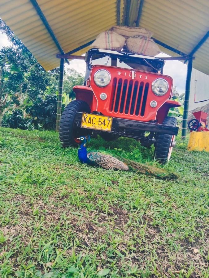 Hotel Cafetero Valparaíso