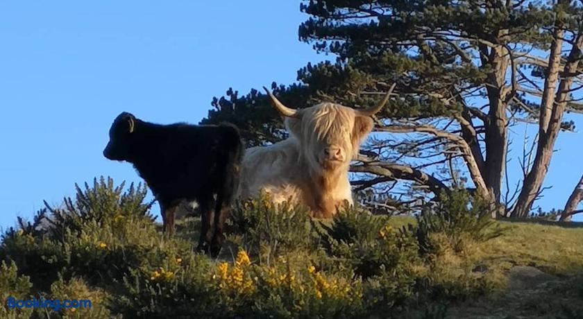 booking-638494-233014473-886683 Raasay House Hotel
