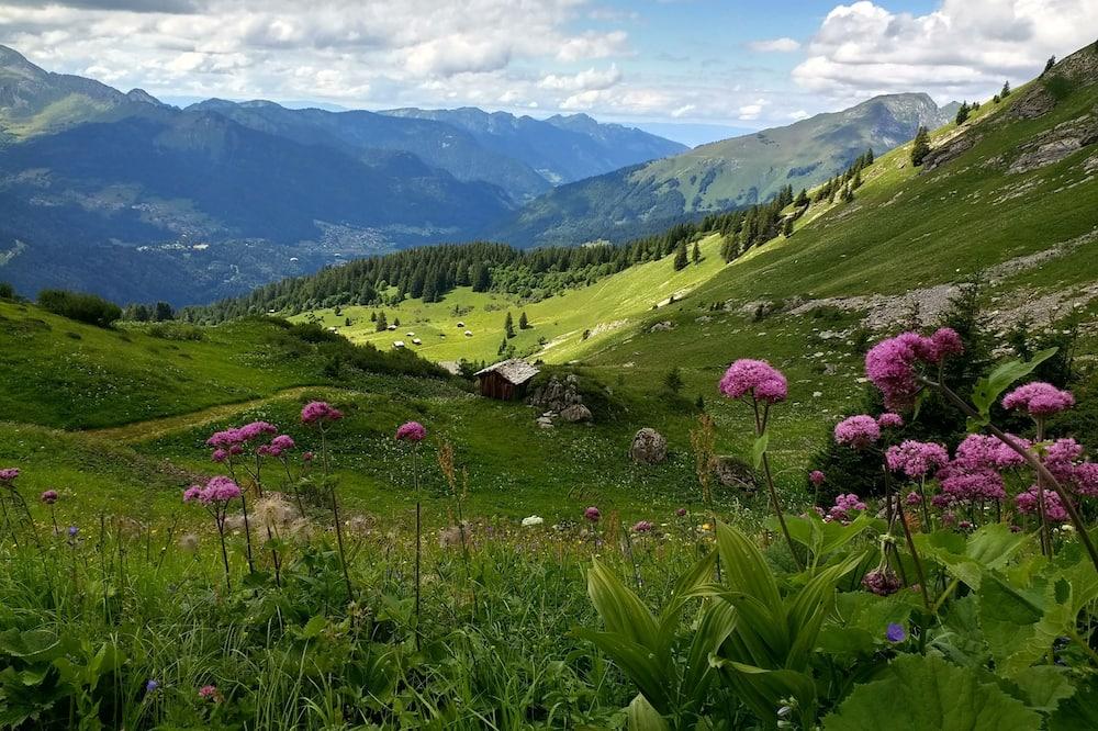 Beautiful chalet in heart of the AlpsCATERED in winter. S/C available - Rhône-Alpes - Maandion visuel 4/5 Beautiful chalet in heart of the AlpsCATERED in winter. S/C available - Rhône-Alpes - Maandion visuel 4/5