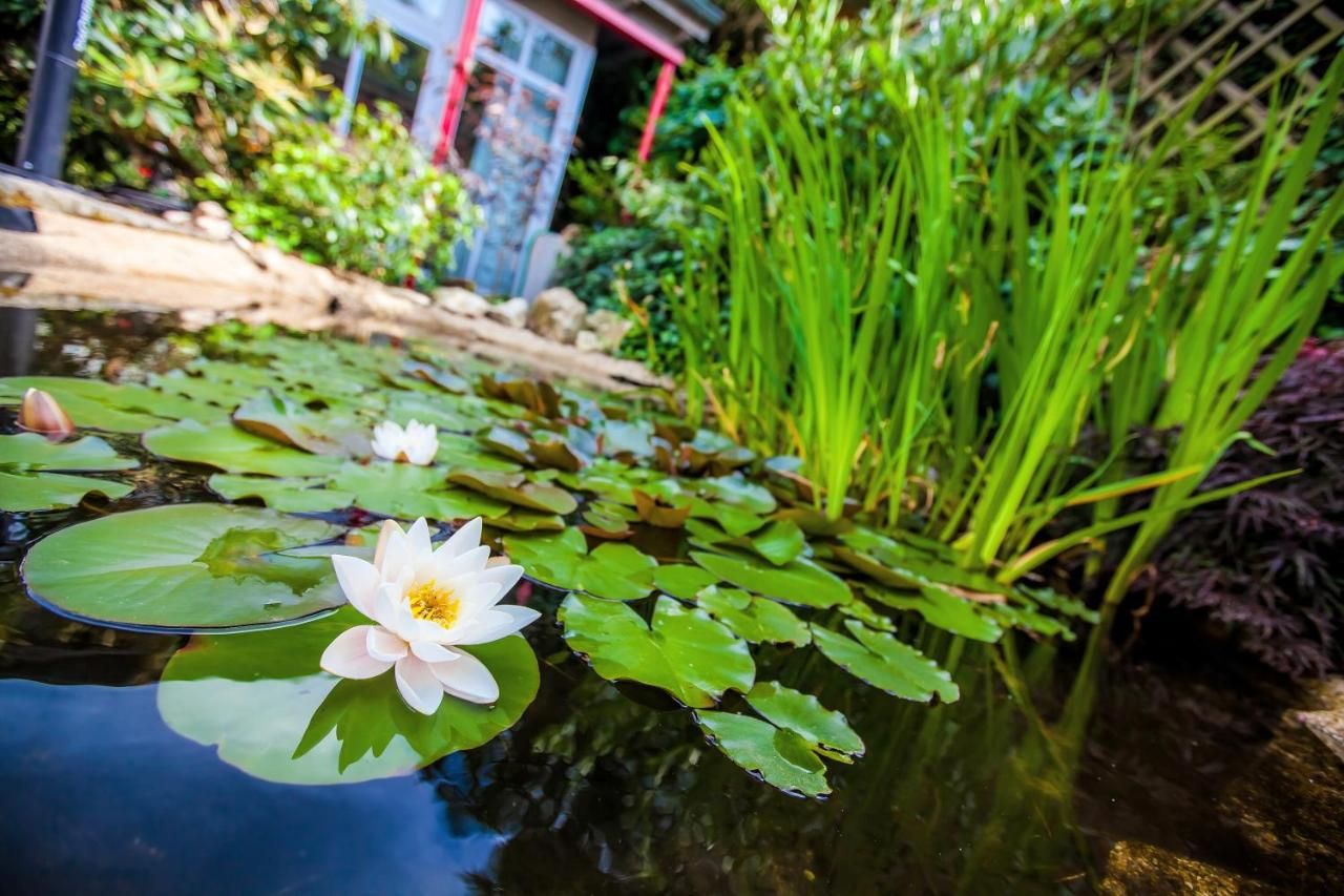 Boutique-Hotel Villa Anna
