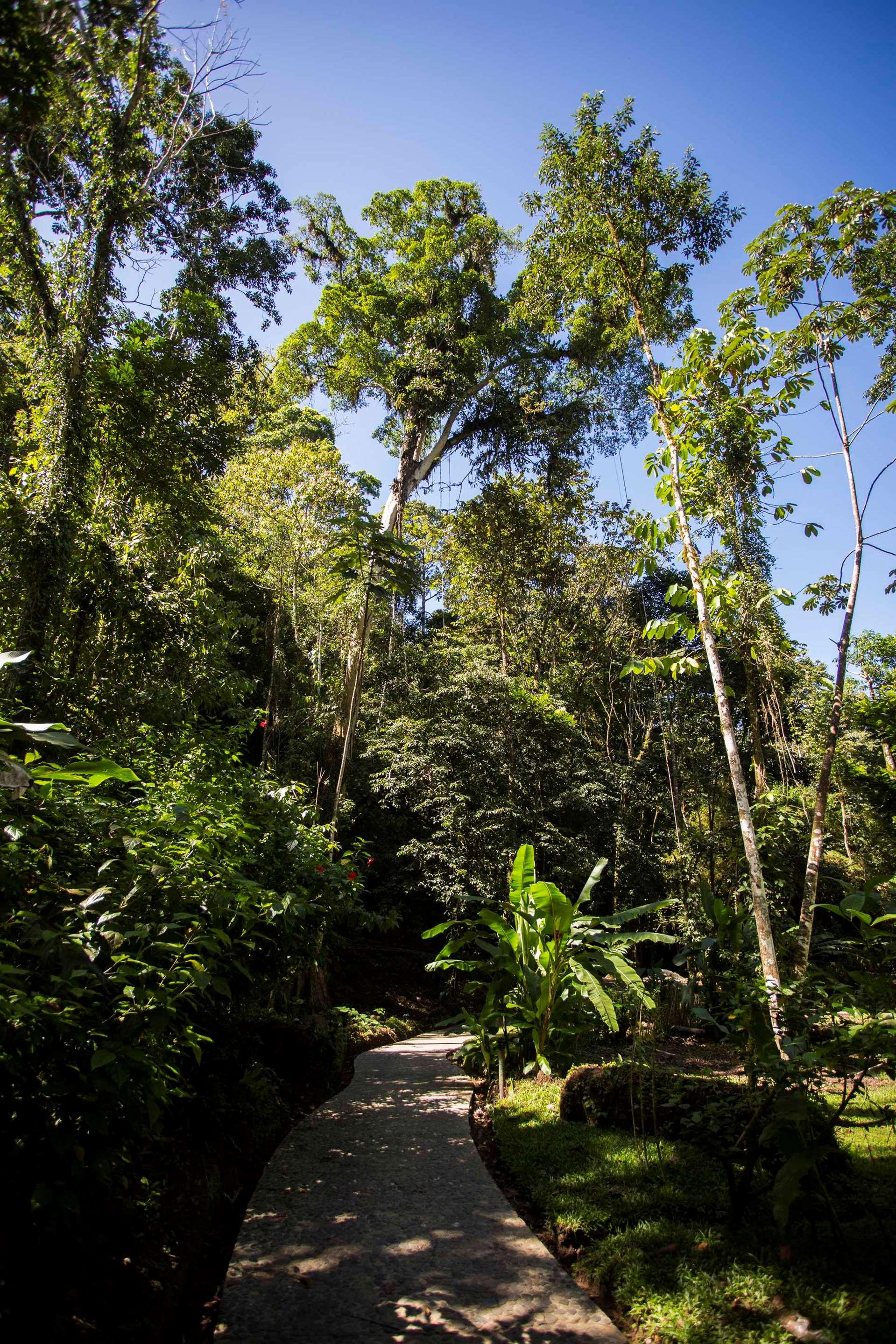 Pacuare Lodge by Böëna