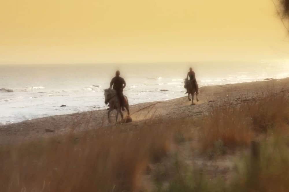 Paradise Island Villas