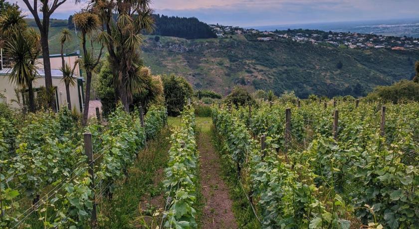 Tussock Hill Vineyard Retreats