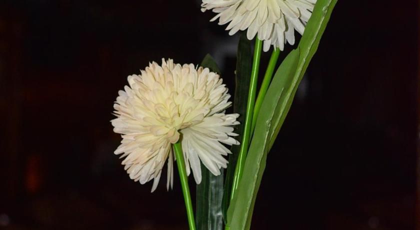 Nile Quest Cruise - 4 or 7 Nights From Luxor each Saturday and 3 or 7 Nights From Aswan each Wednesday